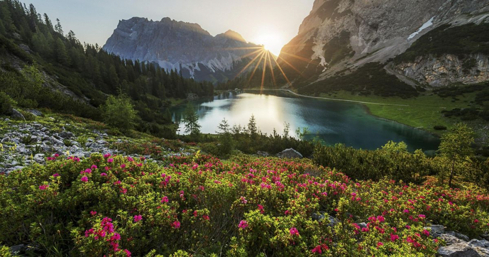 Why You Should Attend a Travis Scott Concert?